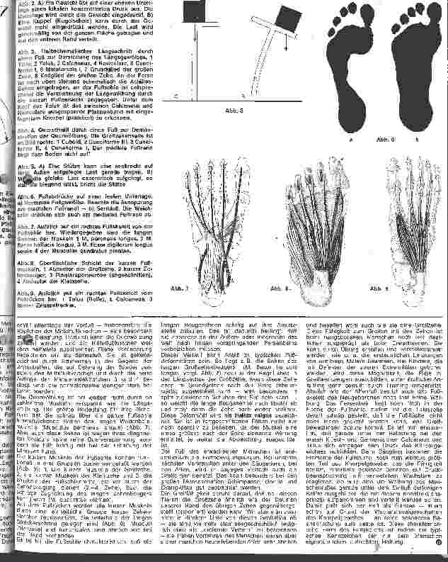 Vorschauseite 2: Die Anatomie des menschlichen Bewegungsapparates 5. Folge: Bau und Funktion des menschlichen Fußes