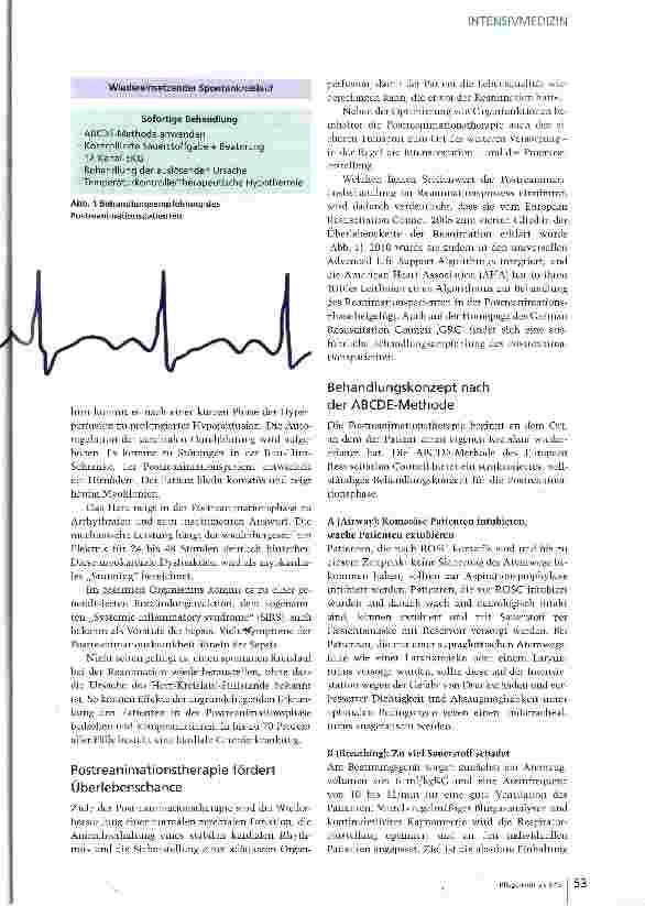 Vorschauseite 2: Reanimation überlebt - und dann?