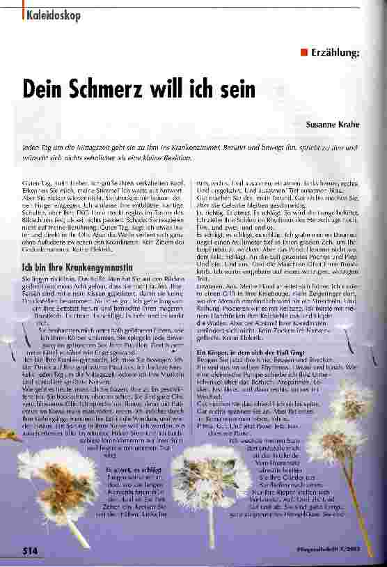 Vorschauseite 1: Dein Schmerz will ich sein Erzählung