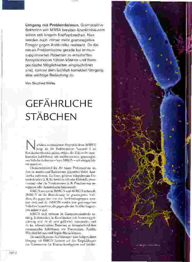 Vorschauseite 1: GEFÄHRLICHE STÄBCHEN