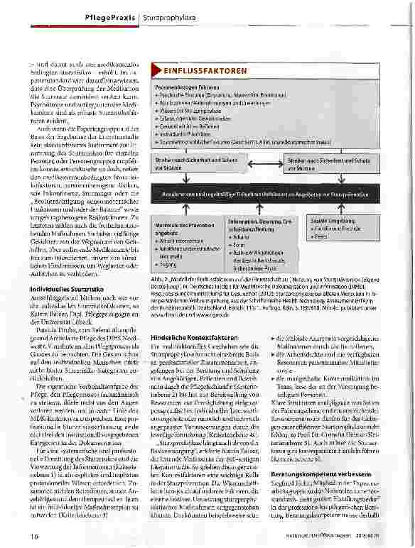 Vorschauseite 3: 1. Aktualisierung des „Expertenstandards Sturzprophylaxe Sturz: Ein multifaktorielles Geschehen