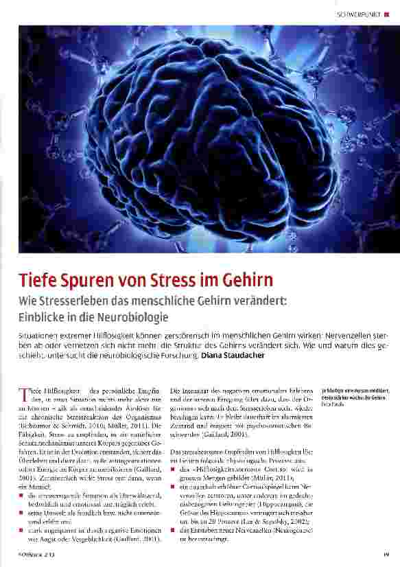 Vorschauseite 1: Tiefe Spuren von Stress im Gehirn