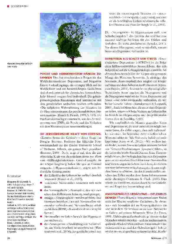 Vorschauseite 2: Tiefe Spuren von Stress im Gehirn