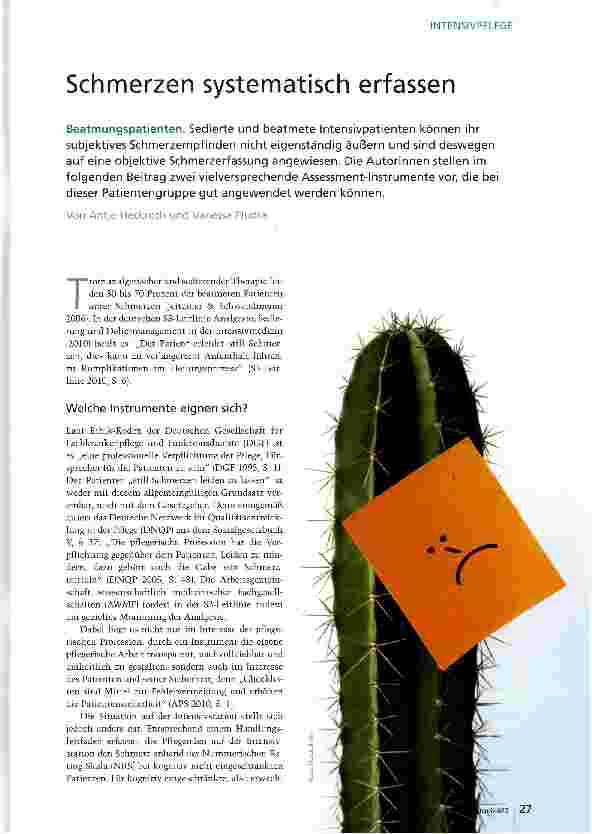 Vorschauseite 1: Schmerzen systematisch erfassen