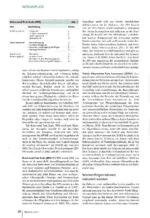 Vorschauseite 2: Schmerzen systematisch erfassen