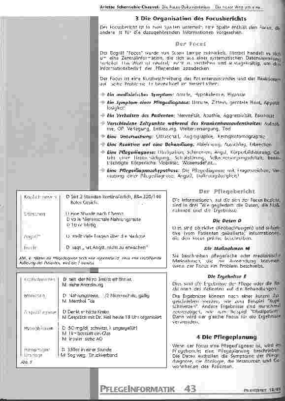 Vorschauseite 4: Die Focus-Dokumentation Ein neuer Weg um eine Problemlösungsmethode im Bericht zu integrieren