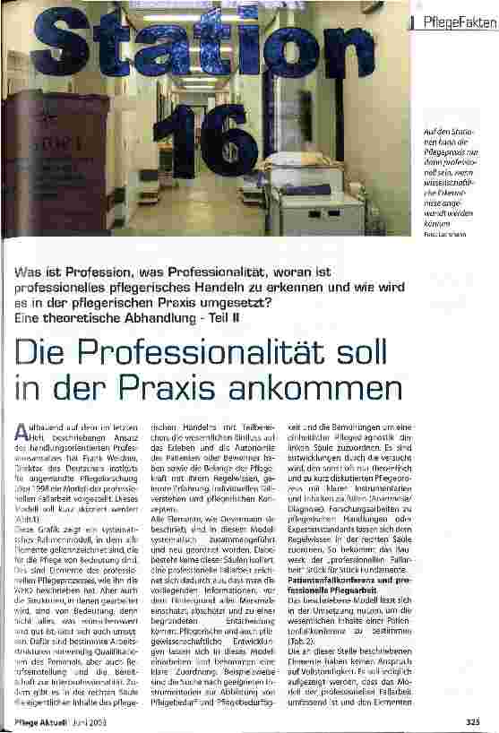 Vorschauseite 1: Die Professionalität soll in der Praxis ankommen Eine theoretische Abhandlung - Teil II