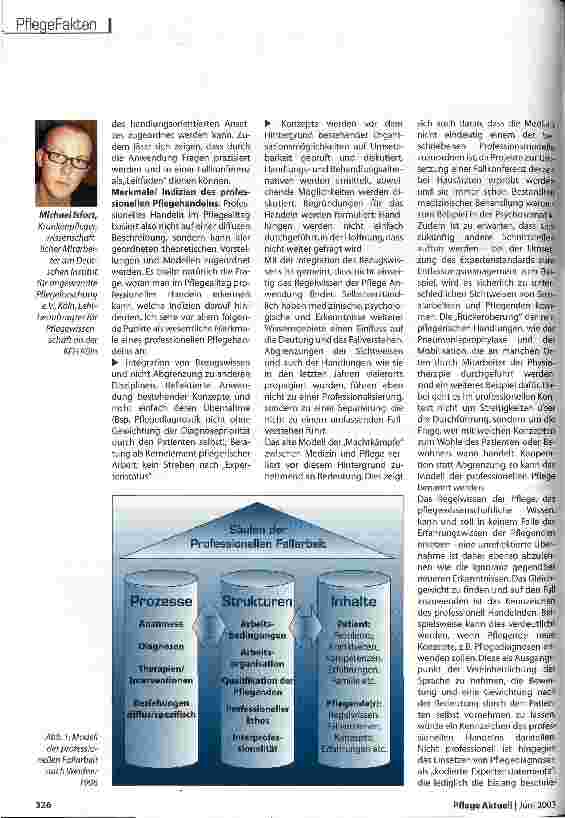Vorschauseite 2: Die Professionalität soll in der Praxis ankommen Eine theoretische Abhandlung - Teil II