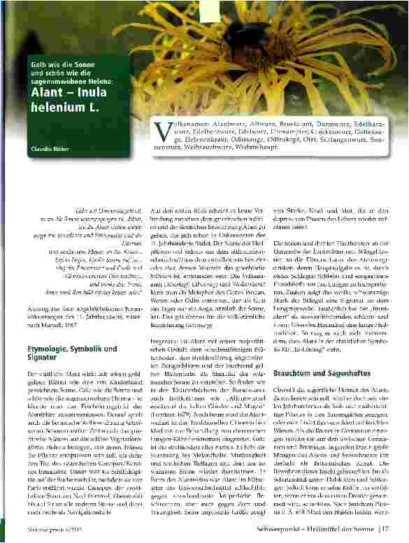Vorschauseite 1: Alant - Inula helenium L.