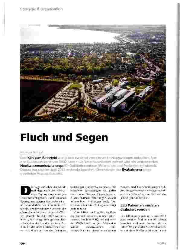Vorschauseite 1: Fluch und Segen