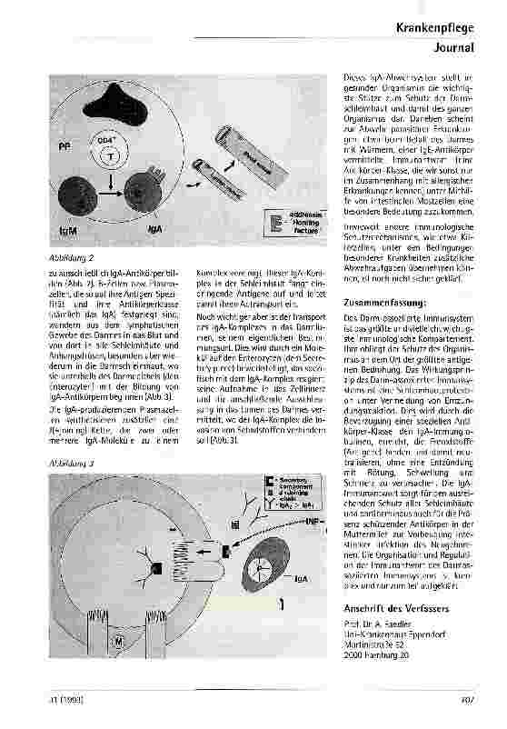 Vorschauseite 3: Funktion des Darm-assoziierten Immunsystems