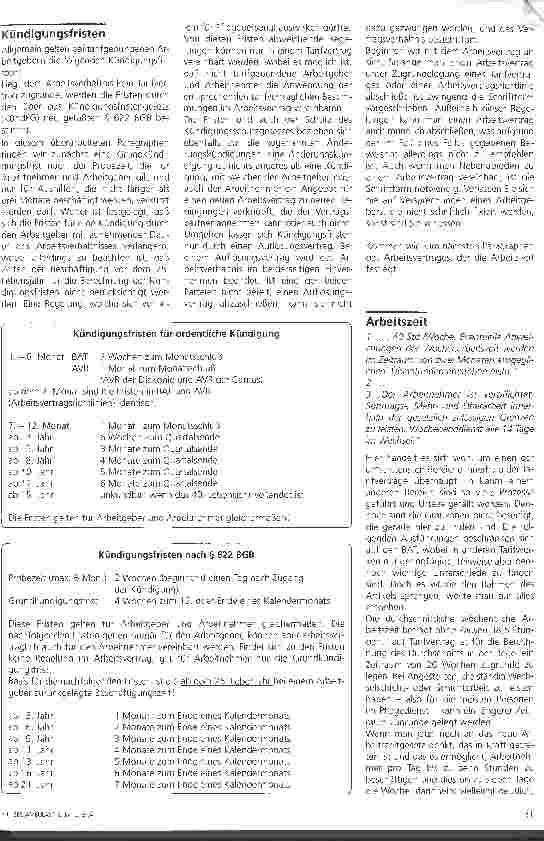 Vorschauseite 2: Verträge mit privaten Arbeitgebern - Chancen und Risiken