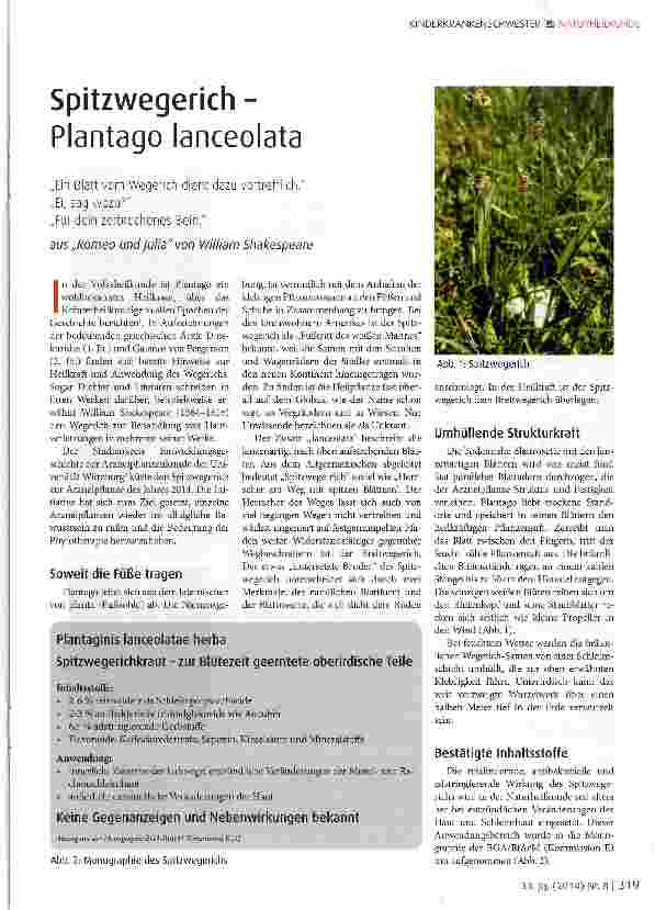 Vorschauseite 1: Spitzwegerich - Plantago lanceolata