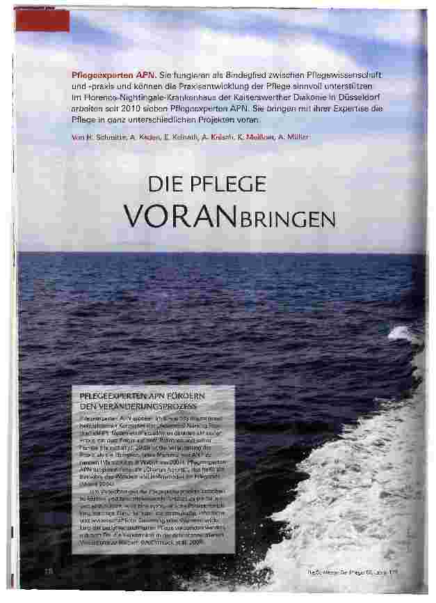 Vorschauseite 1: DIE PFLEGE VORANBRINGEN