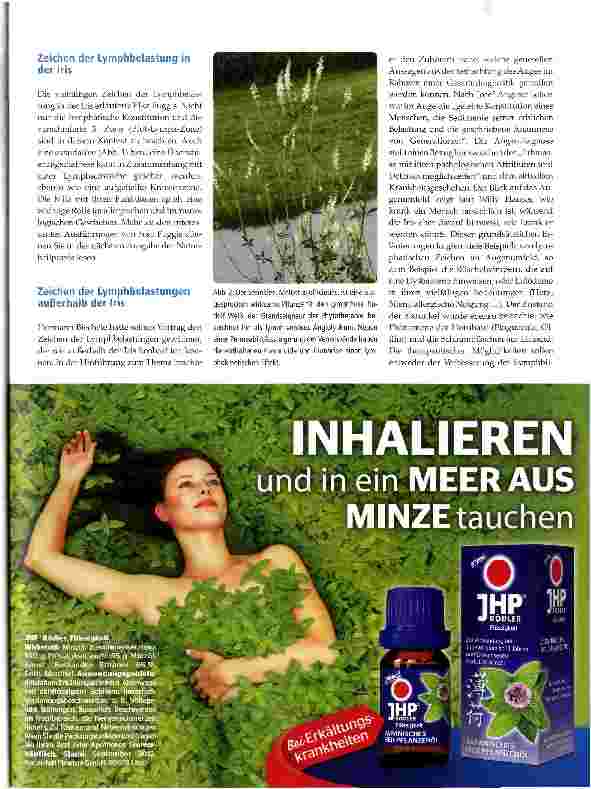Vorschauseite 2: Das Lymphsystem - ein Stiefkind unserer Zeit
