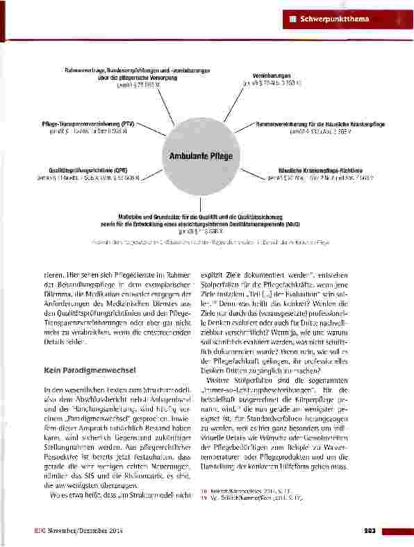 Vorschauseite 4: Strukturierte Informationssammlung (SIS) in der Kritik