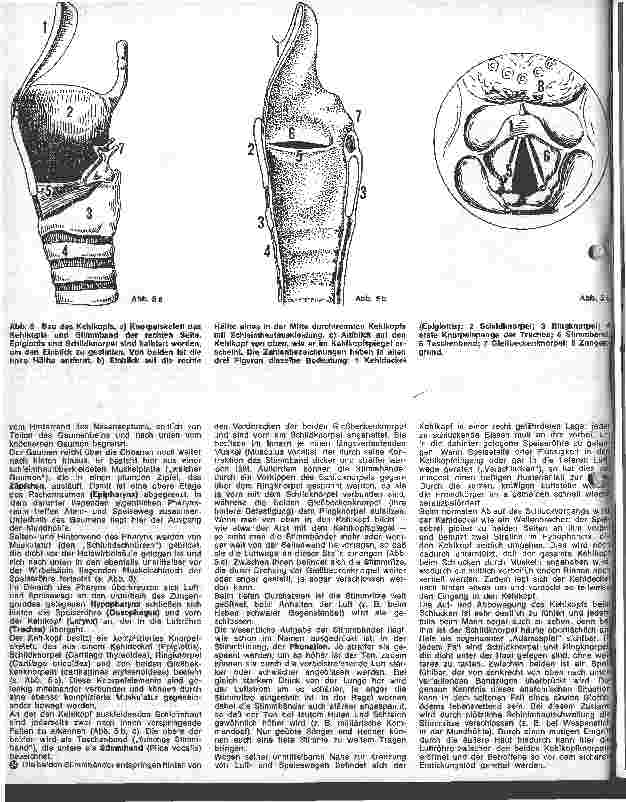 Vorschauseite 3: Die Atmungsorgane 1. Allgemeines über die Atmung. Die oberen Luftwege