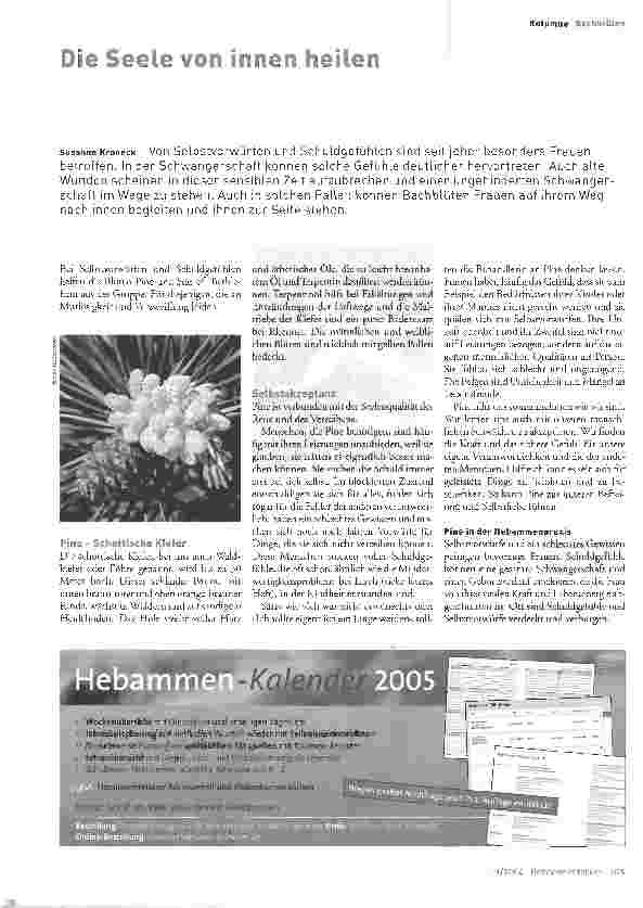 Vorschauseite 1: Die Seele von innen heilen