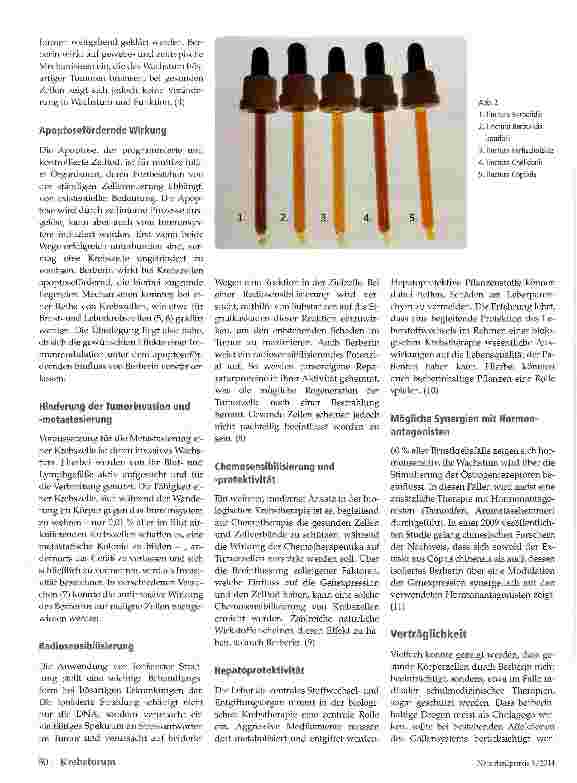 Vorschauseite 3: Berberin: Farbe zeigen bei Krebs