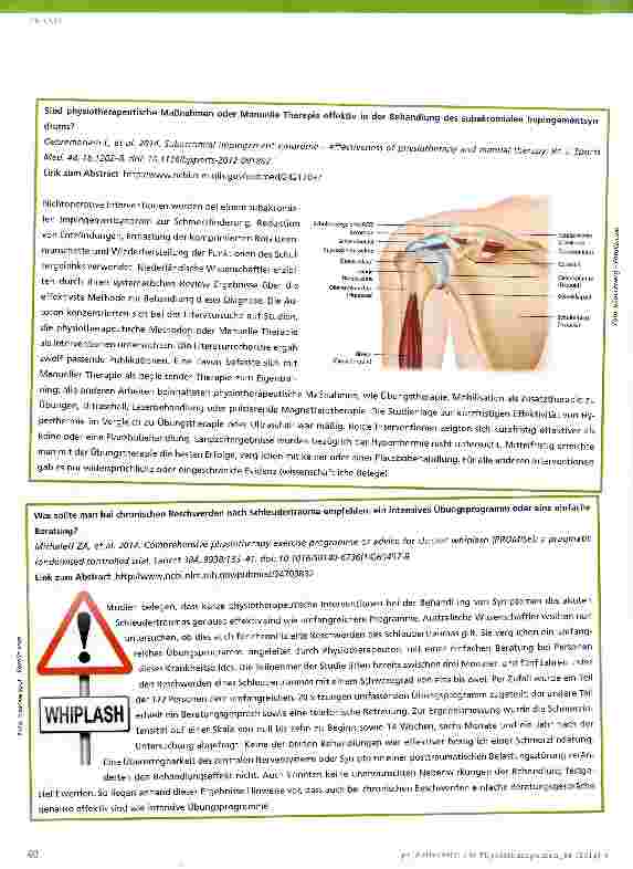Vorschauseite 3: Evidenz-Update für die Physiotherapie