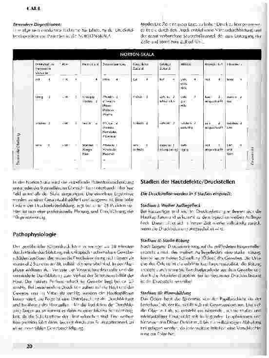 Vorschauseite 2: Druckstellen Problematik, Vorbeugung, Pflegerische Maßnahmen, Behandlung