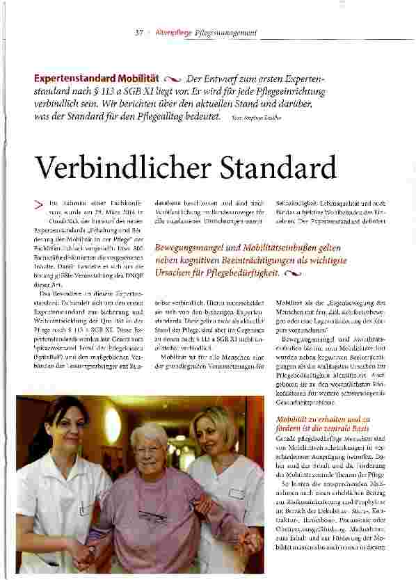 Vorschauseite 1: Verbindlicher Standard