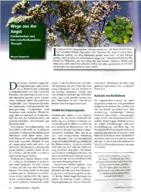 Vorschauseite 1: Wege aus der Angst