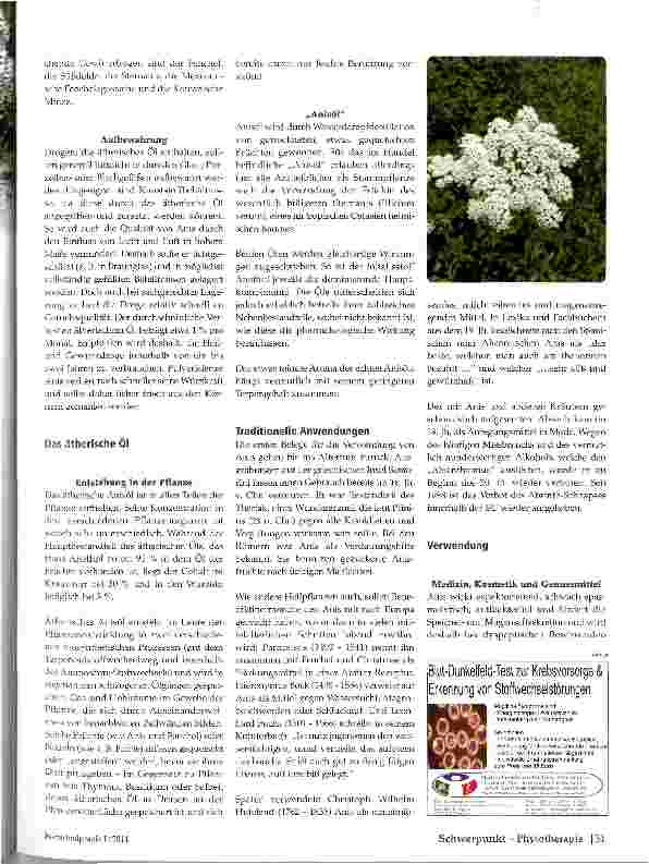 Vorschauseite 2: Anis