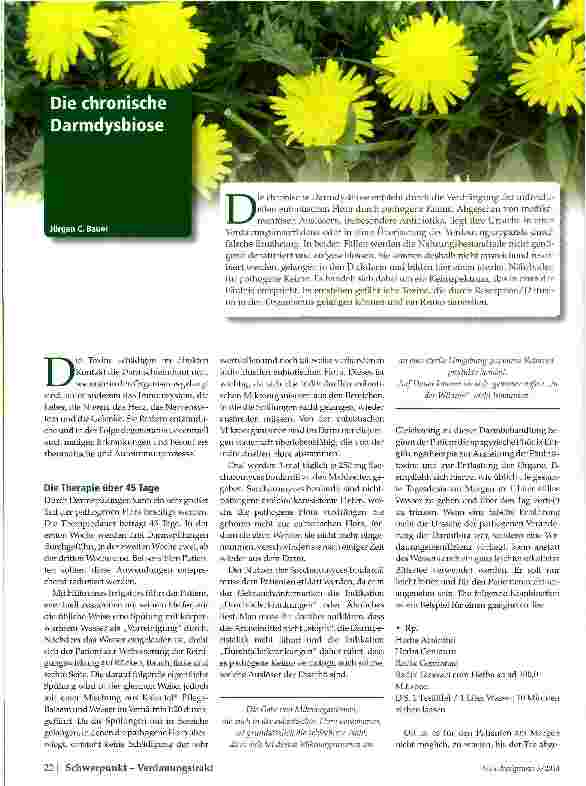 Vorschauseite 1: Die chronische Darmdysbiose