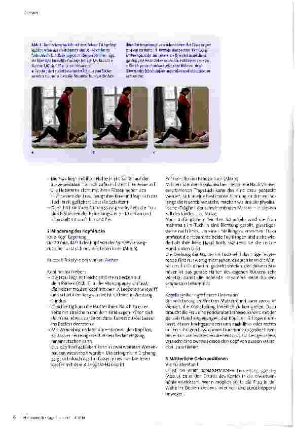 Vorschauseite 3: Hoher Geradstand des Kopfes