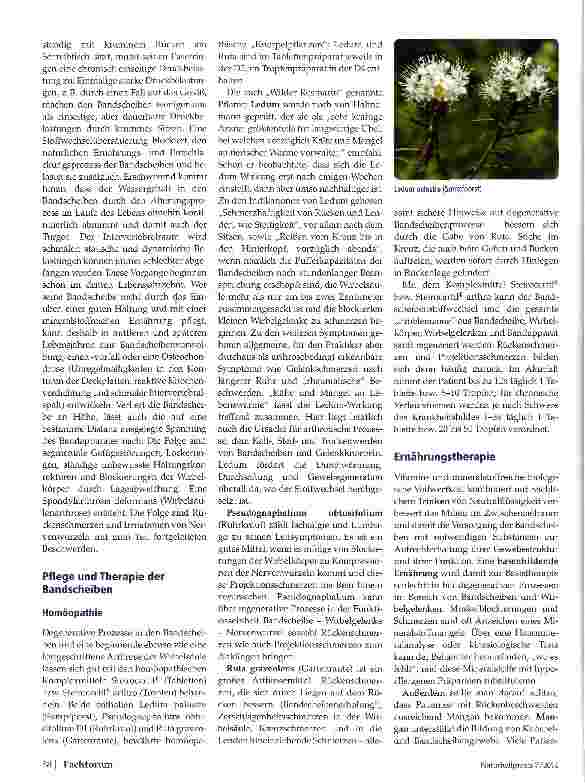 Vorschauseite 2: Anti-Aging für die Bandscheiben