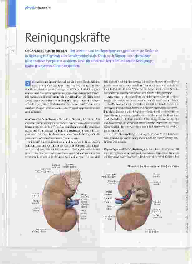 Vorschauseite 1: Reinigungskräfte