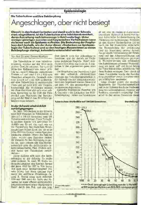 Vorschauseite 1: Angeschlagen, aber nicht besiegt