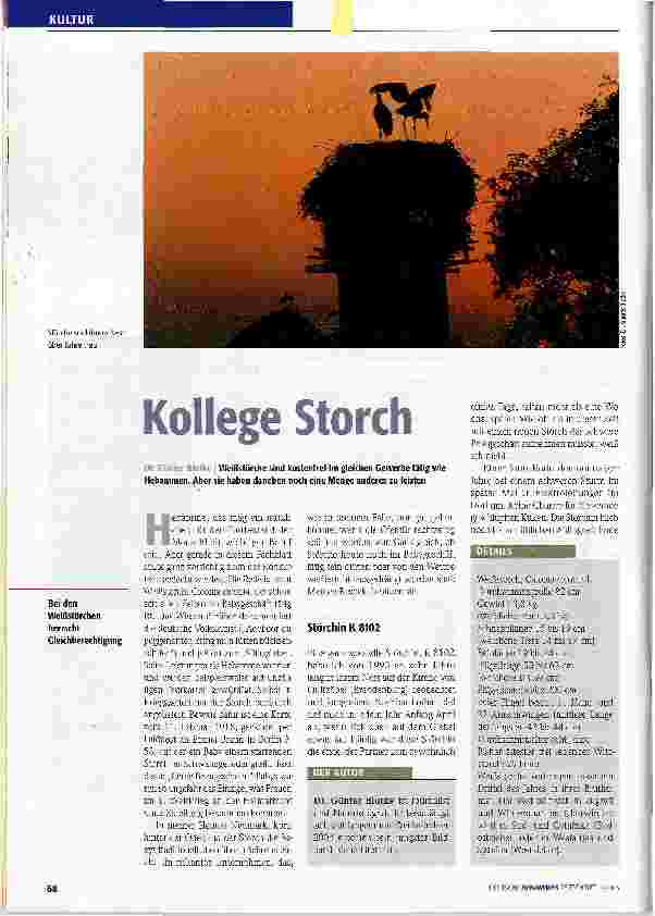 Vorschauseite 1: Kollege Storch