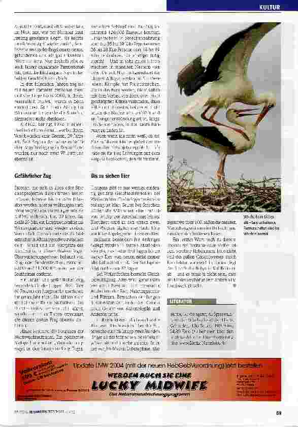 Vorschauseite 2: Kollege Storch