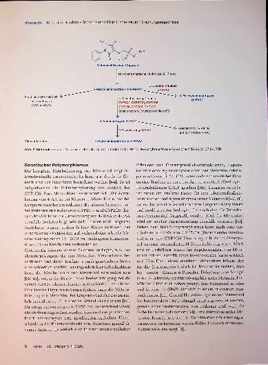 Vorschauseite 3: Metamizol-Update: Sicherheitsprofil im Licht neuer Forschungsergebnisse