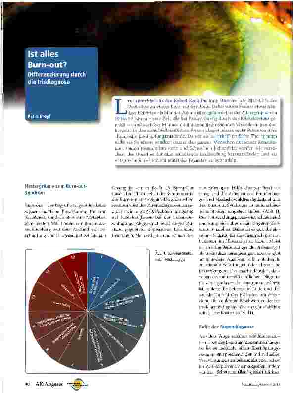 Vorschauseite 1: Ist alles Burn-Out?
