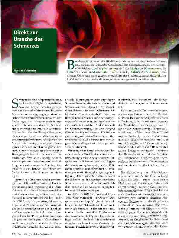 Vorschauseite 1: Direkt zur Ursache des Schmerzes