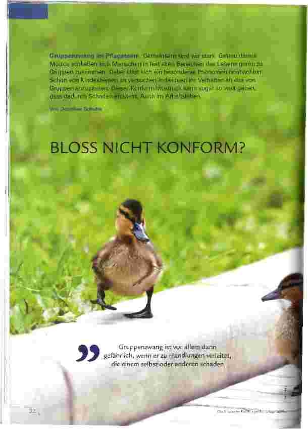 Vorschauseite 1: BLOSS NICHT KONFORM?