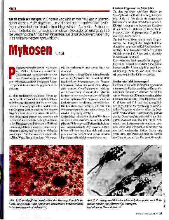 Vorschauseite 1: Mykosen 1. Teil Pilz als Krankheitserreger