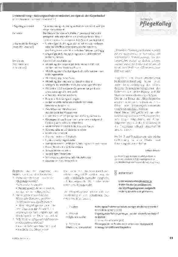 Vorschauseite 4: NANDA-Pflegediagnosen in der Pflegedokumentation