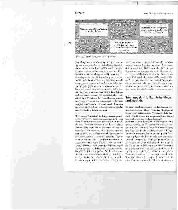 Vorschauseite 3: Professionelle Pflege und Entscheidungsverantwortung:IST PFLEGERISCHES HANDELN HEILKUNDLICHES HANDELN?