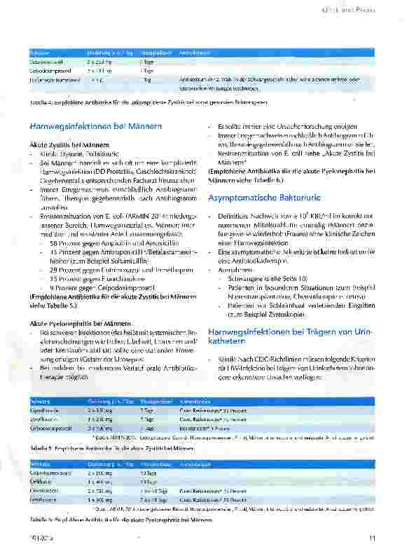 Vorschauseite 4: Ratgeber zur Antibiotikatherapie