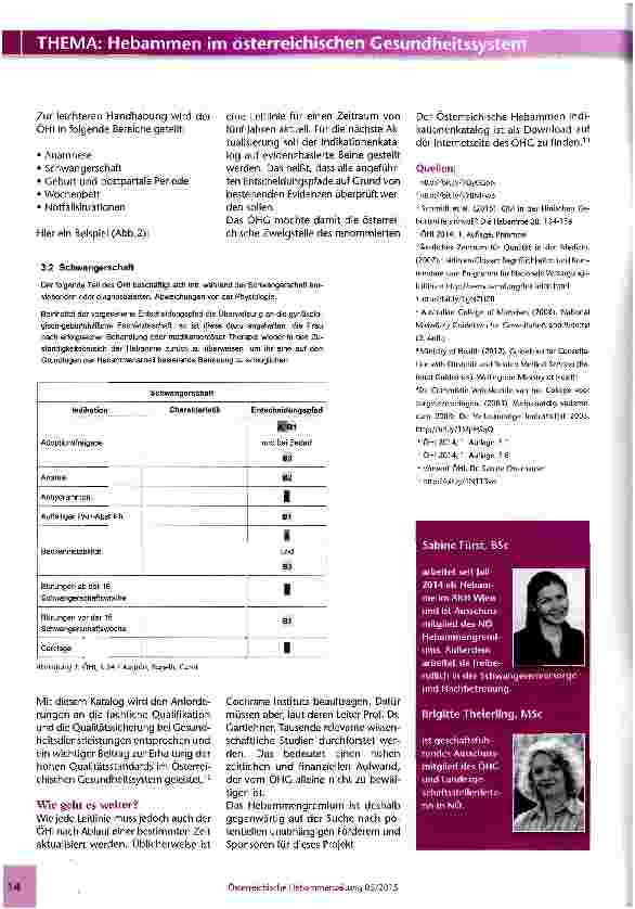 Vorschauseite 3: Qualitätsmanagement für Hebammen -Österreichischer Hebammen Indikationenkatalog OHI