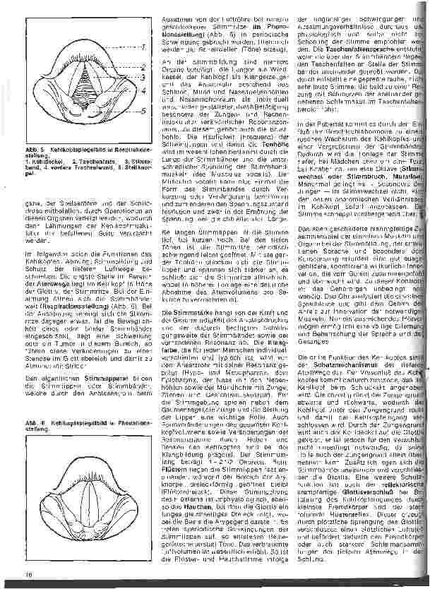 Vorschauseite 3: Einführung in die Hals-Nasen-Ohren-Heilkunde 18.Folge: Der Kehlkopf, Anatomie, Physiologie, Untersuchungsmethoden