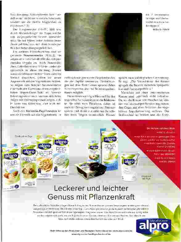 Vorschauseite 2: Allerlei Gereiztheiten