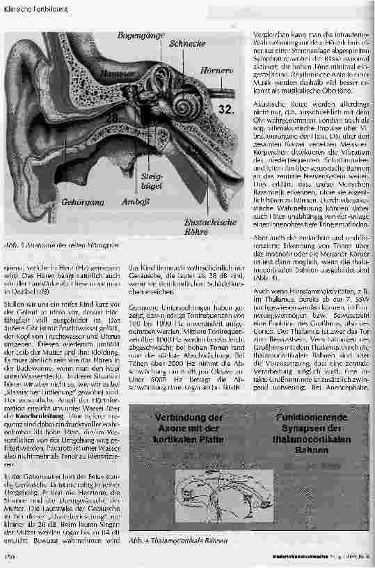 Vorschauseite 2: Fetale Sinneswahrnehmung
