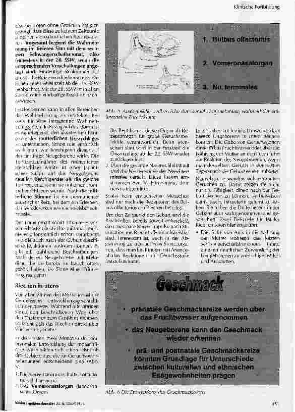 Vorschauseite 3: Fetale Sinneswahrnehmung