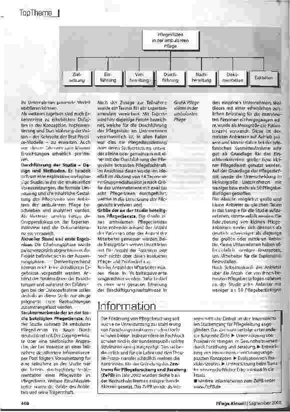 Vorschauseite 3: Die Pflegeforschung: Pflegevisite im ambulanten Bereich