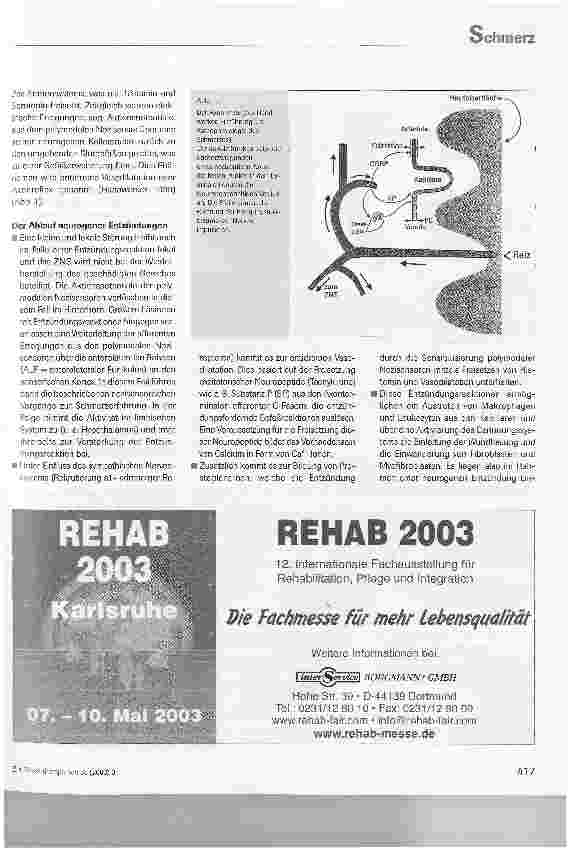 Vorschauseite 2: Möglichkeiten effektiver Schmerzbehandlung mit Elektrotherapie